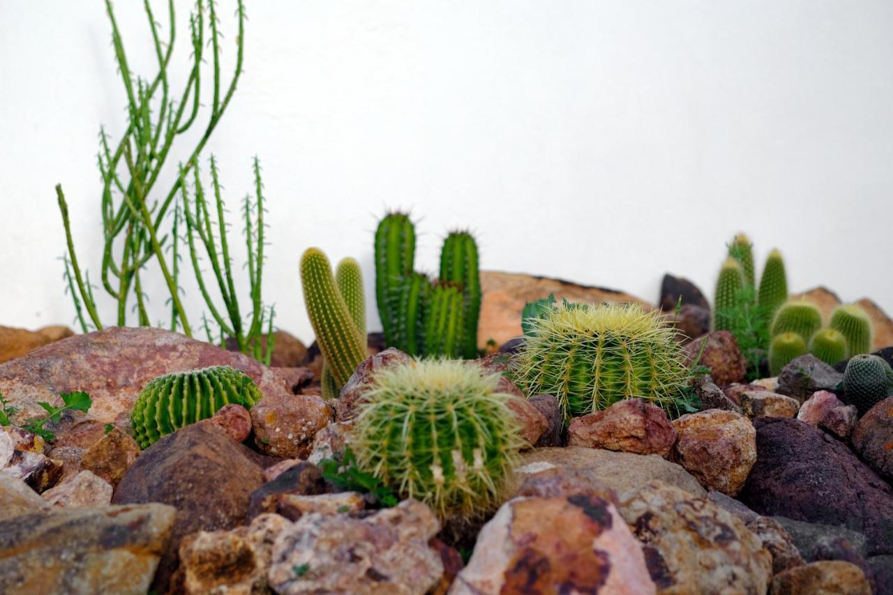 La Posidonia Apartment Rodalquilar Luaran gambar